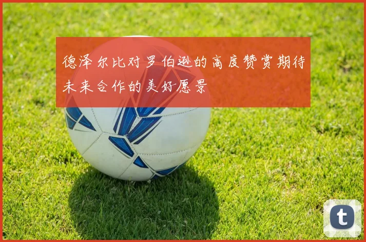 德泽尔比对罗伯逊的高度赞赏期待未来合作的美好愿景